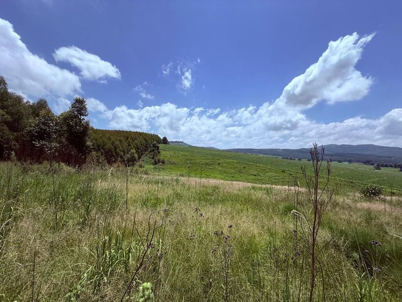 20ha Timber Farm in Karkloof with Valley and Farmland Views - Photo 5