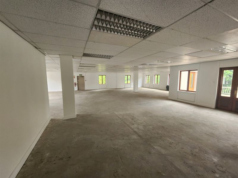 A large, open-plan office space featuring a suspended ceiling with recessed lighting, structural columns, and multiple windows providing natural light.