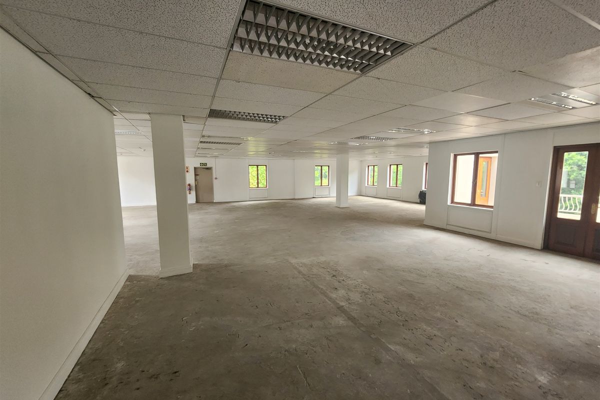 A large, open-plan office space featuring a suspended ceiling with recessed lighting, structural columns, and multiple windows providing natural light.
