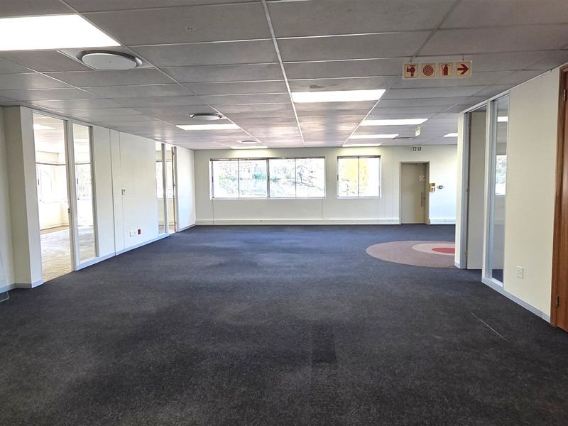 An open-plan office space featuring suspended ceilings, recessed lighting, glass partitions, and carpeted flooring, providing a versatile layout for professional use.
