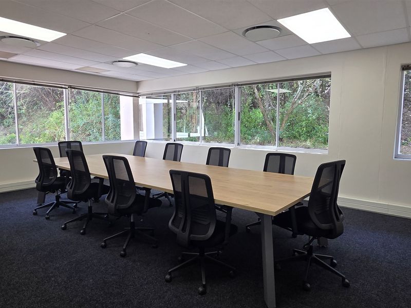 A bright, professional office boardroom featuring large windows with natural views, suspended ceiling with recessed lighting, and dark carpet flooring.