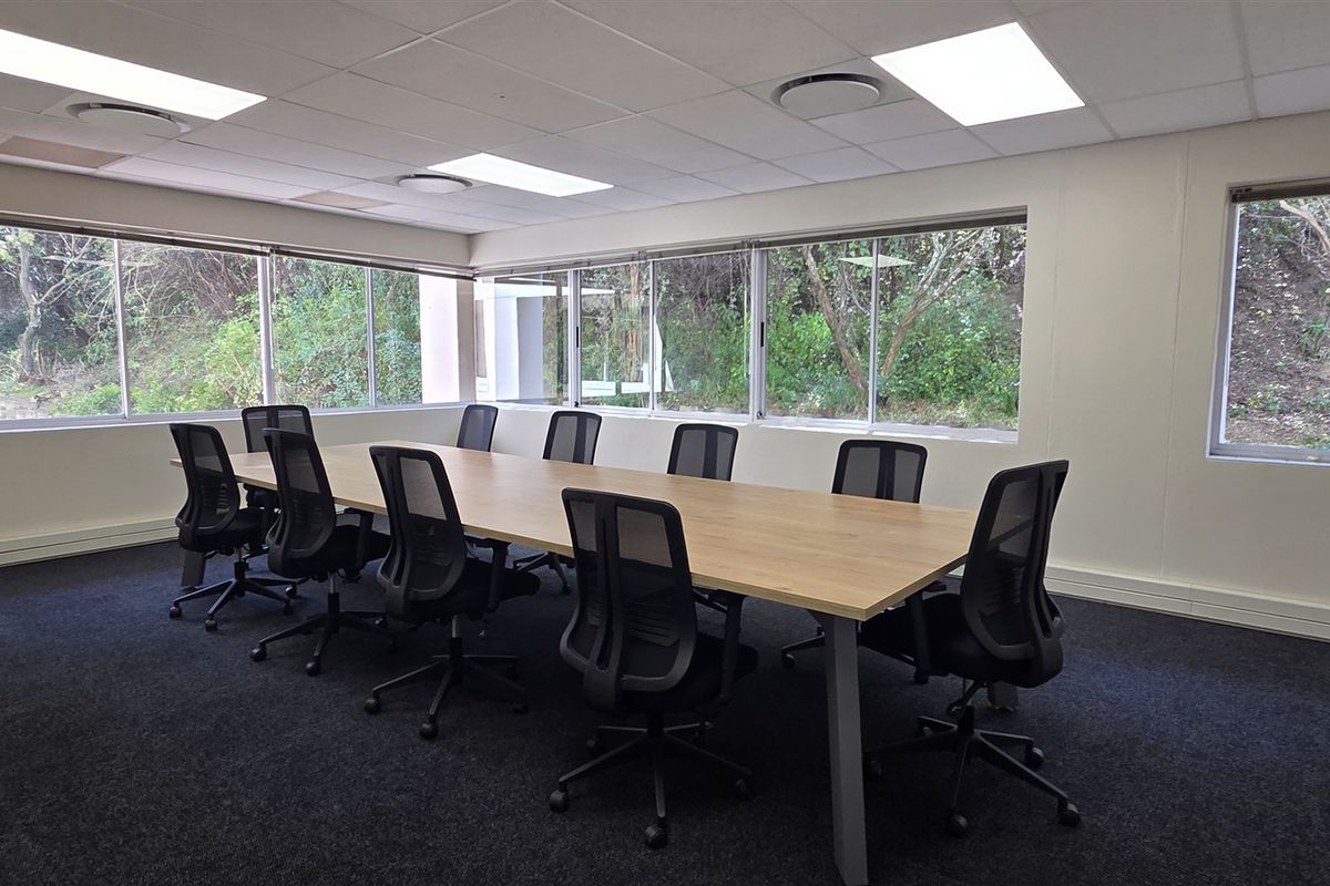 A bright, professional office boardroom featuring large windows with natural views, suspended ceiling with recessed lighting, and dark carpet flooring.
