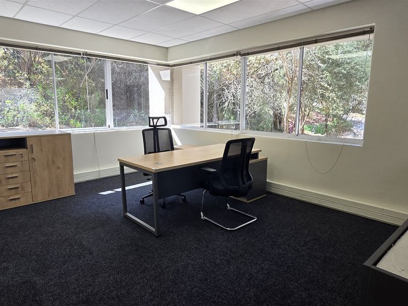 A bright office space featuring large windows with natural views, suspended ceiling tiles, and dark carpet flooring.