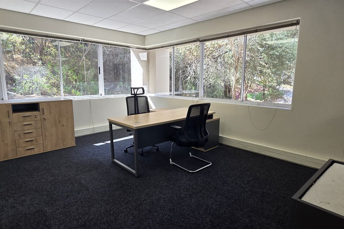 A bright office space featuring large windows with natural views, suspended ceiling tiles, and dark carpet flooring.