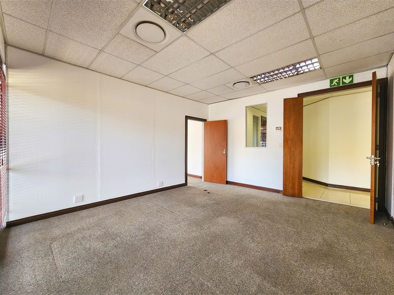 A vacant office space featuring a suspended ceiling, recessed lighting, carpeted flooring, and internal timber doors, suitable for a professional workspace.