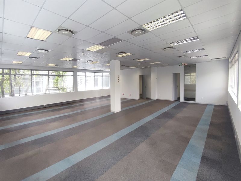 Spacious open-plan office area featuring a suspended ceiling with recessed lighting, central air conditioning, large windows, and durable carpeted flooring.