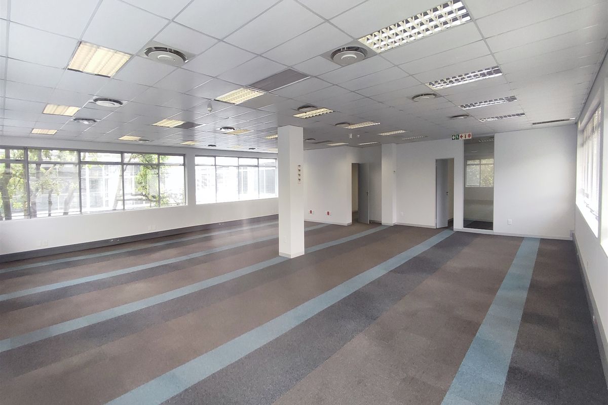 Spacious open-plan office area featuring a suspended ceiling with recessed lighting, central air conditioning, large windows, and durable carpeted flooring.