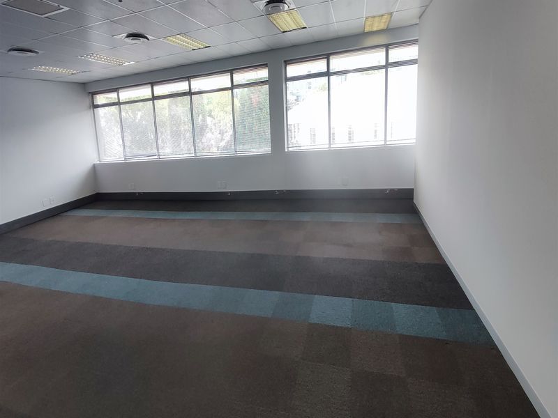 A spacious, empty office area featuring carpeted flooring, a suspended ceiling with integrated lighting, and large windows providing ample natural light.