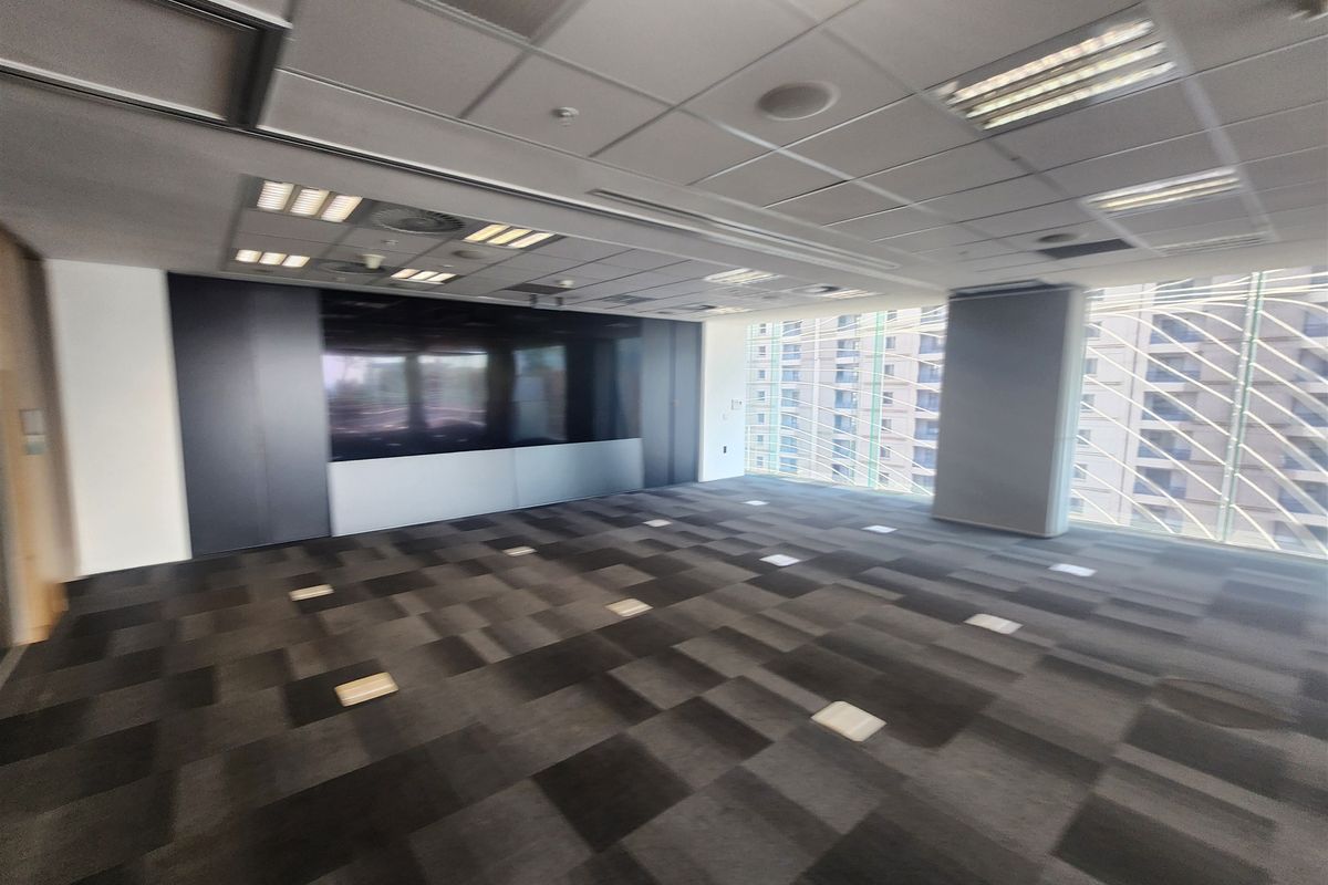 A spacious, modern empty office suite featuring a suspended ceiling, recessed lighting, carpet tiles, and a large built-in media wall with expansive window views.