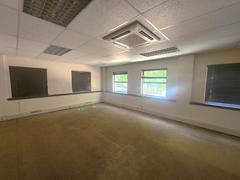 An empty office space featuring a suspended ceiling with integrated air conditioning, recessed lighting, and carpeted flooring with multiple windows.