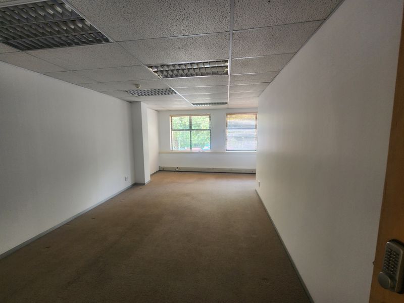 An empty, open-plan office space featuring a suspended ceiling with recessed lighting, carpeted flooring, and large windows with fitted venetian blinds.