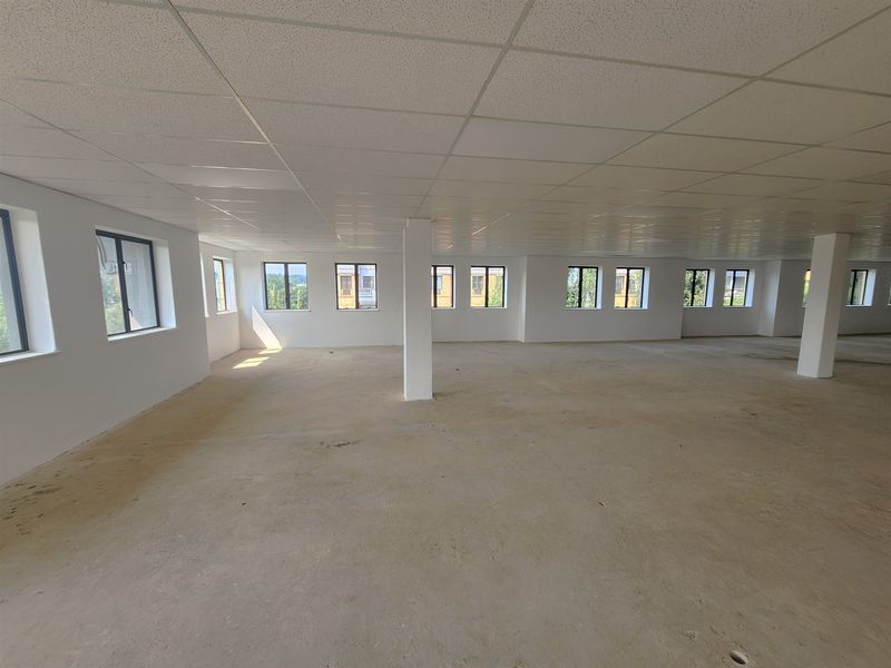 A large, open-plan office space featuring a suspended ceiling, structural columns, and multiple windows providing ample natural light, currently in shell condition.