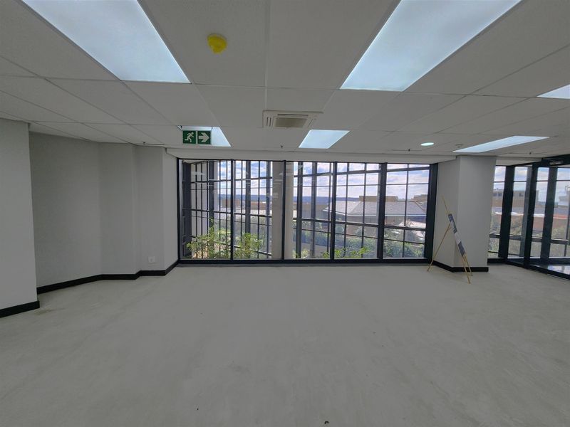 A bright, vacant office space featuring a suspended ceiling with recessed lighting and large steel-framed windows offering natural light and exterior views.