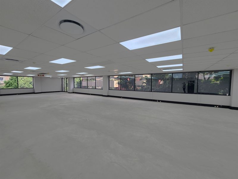 A spacious, open-plan office area featuring a suspended ceiling with recessed lighting and expansive windows providing ample natural light.