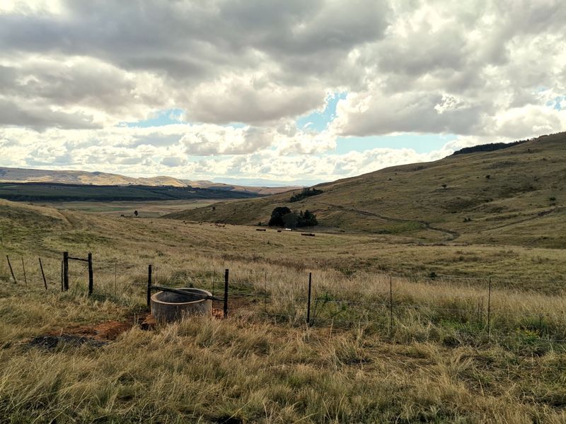 475Ha Multi-Use Farm for Sale – Donnybrook, KwaZulu-Natal - Photo 5