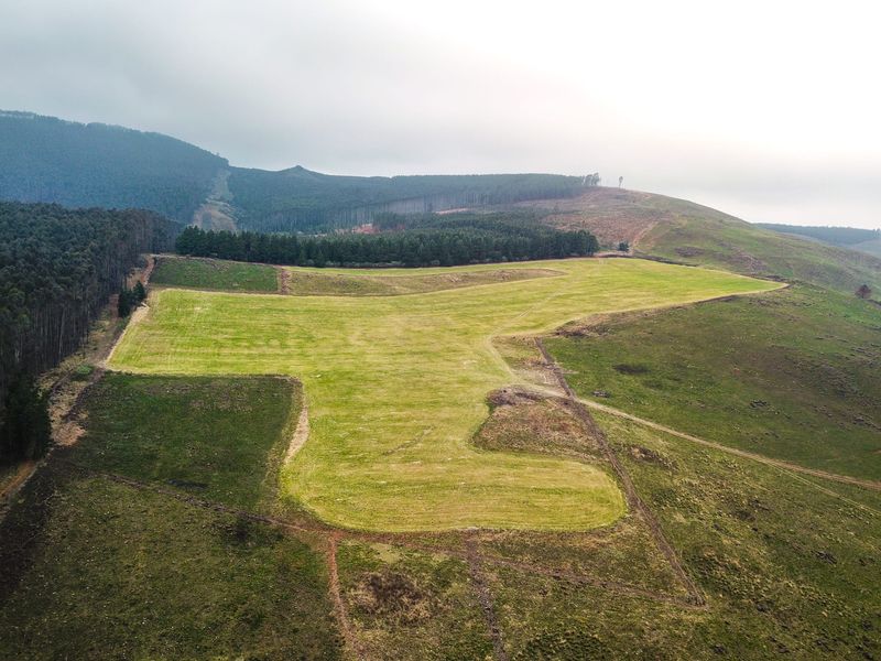 475Ha Multi-Use Farm for Sale – Donnybrook, KwaZulu-Natal - Photo 3