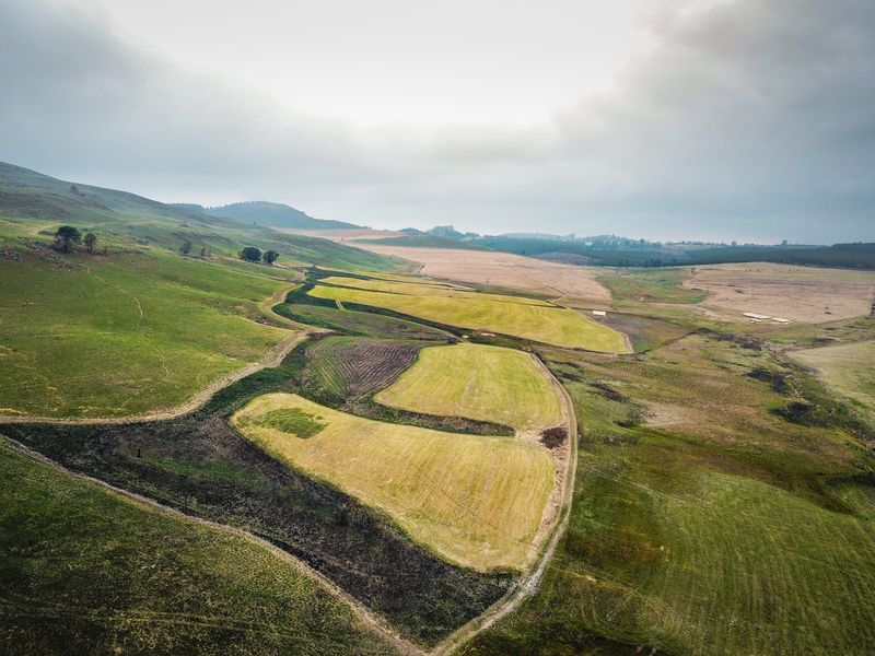 475Ha Multi-Use Farm for Sale – Donnybrook, KwaZulu-Natal - Photo 4