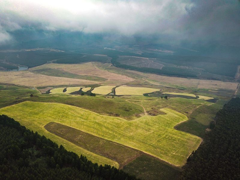 475Ha Multi-Use Farm for Sale – Donnybrook, KwaZulu-Natal - Photo 2