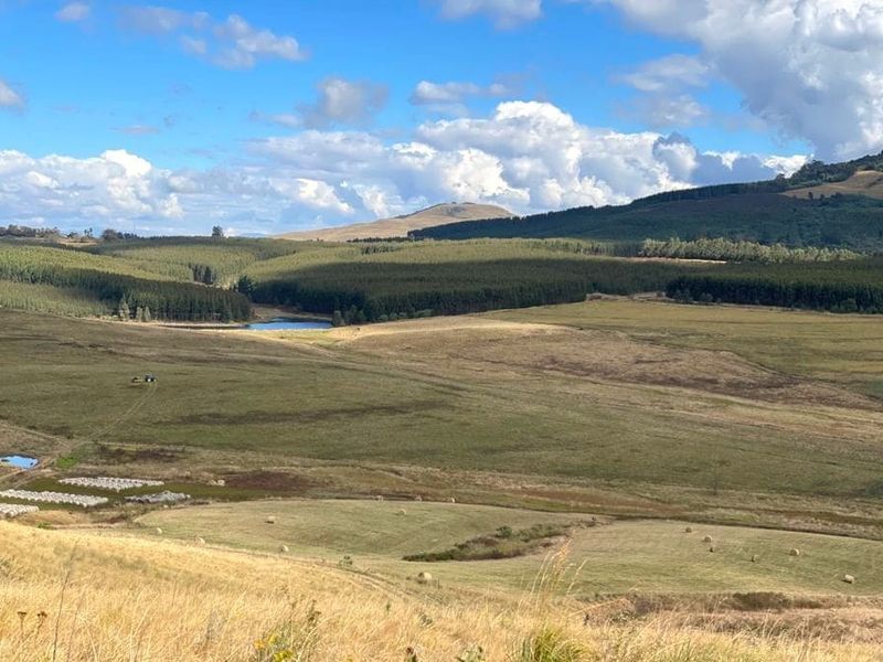 475Ha Multi-Use Farm for Sale – Donnybrook, KwaZulu-Natal - Photo 6