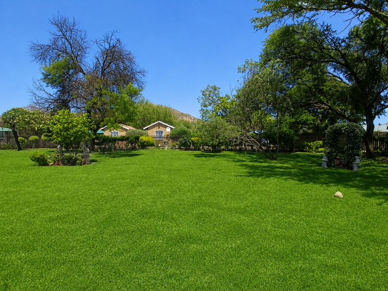 A well-maintained, expansive green garden featuring mature trees and perimeter fencing, providing a peaceful outdoor space on the small holding.