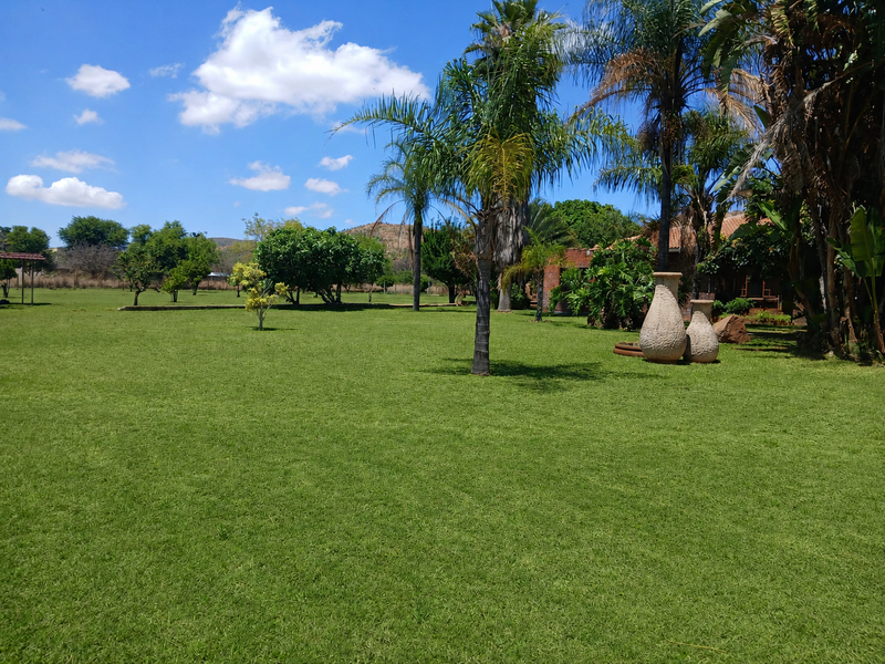 A spacious, well-maintained garden area featuring expansive green lawns and mature palm trees, providing a serene outdoor setting for the property.