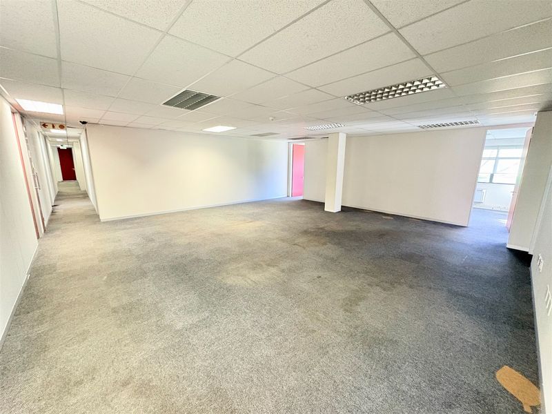 An empty, open-plan office space featuring a suspended ceiling with recessed lighting and worn carpeting, offering a blank canvas for professional customization.