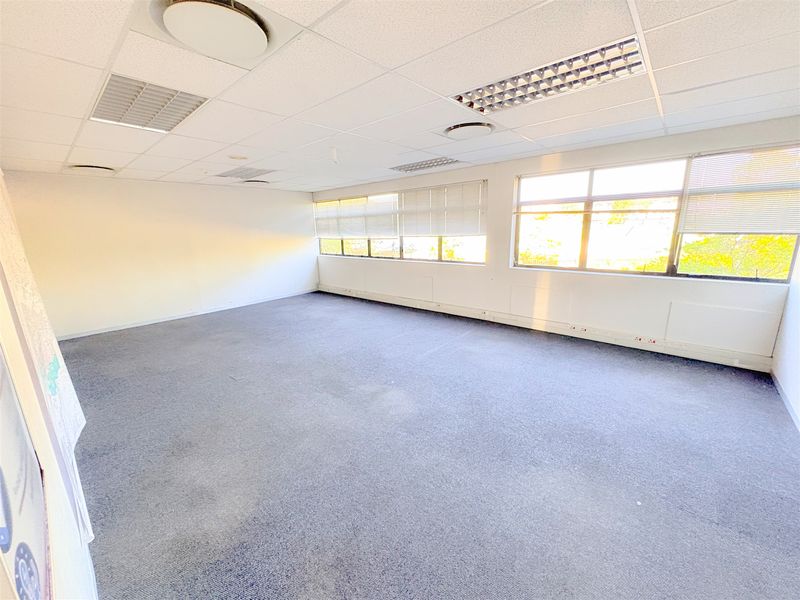 A spacious, empty office area featuring a suspended ceiling with recessed lighting, carpeted flooring, and large windows with fitted venetian blinds.