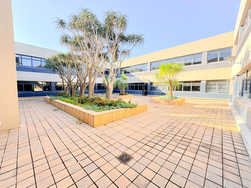 A spacious paved office courtyard featuring raised planter beds with mature trees and large windows providing natural light to the surrounding building.