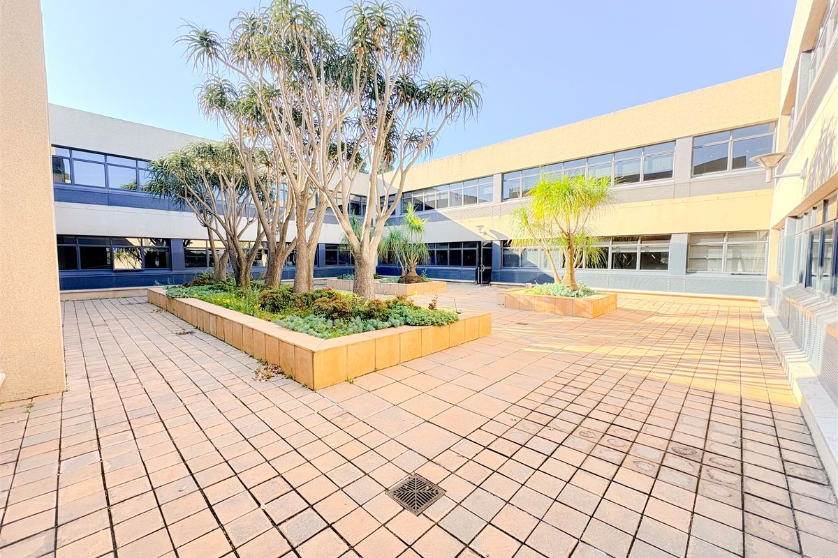 A spacious paved office courtyard featuring raised planter beds with mature trees and large windows providing natural light to the surrounding building.