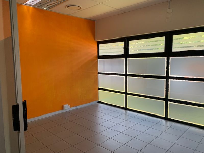 A vacant office space featuring tiled flooring, a suspended ceiling with recessed lighting, and large windows with privacy frosting.