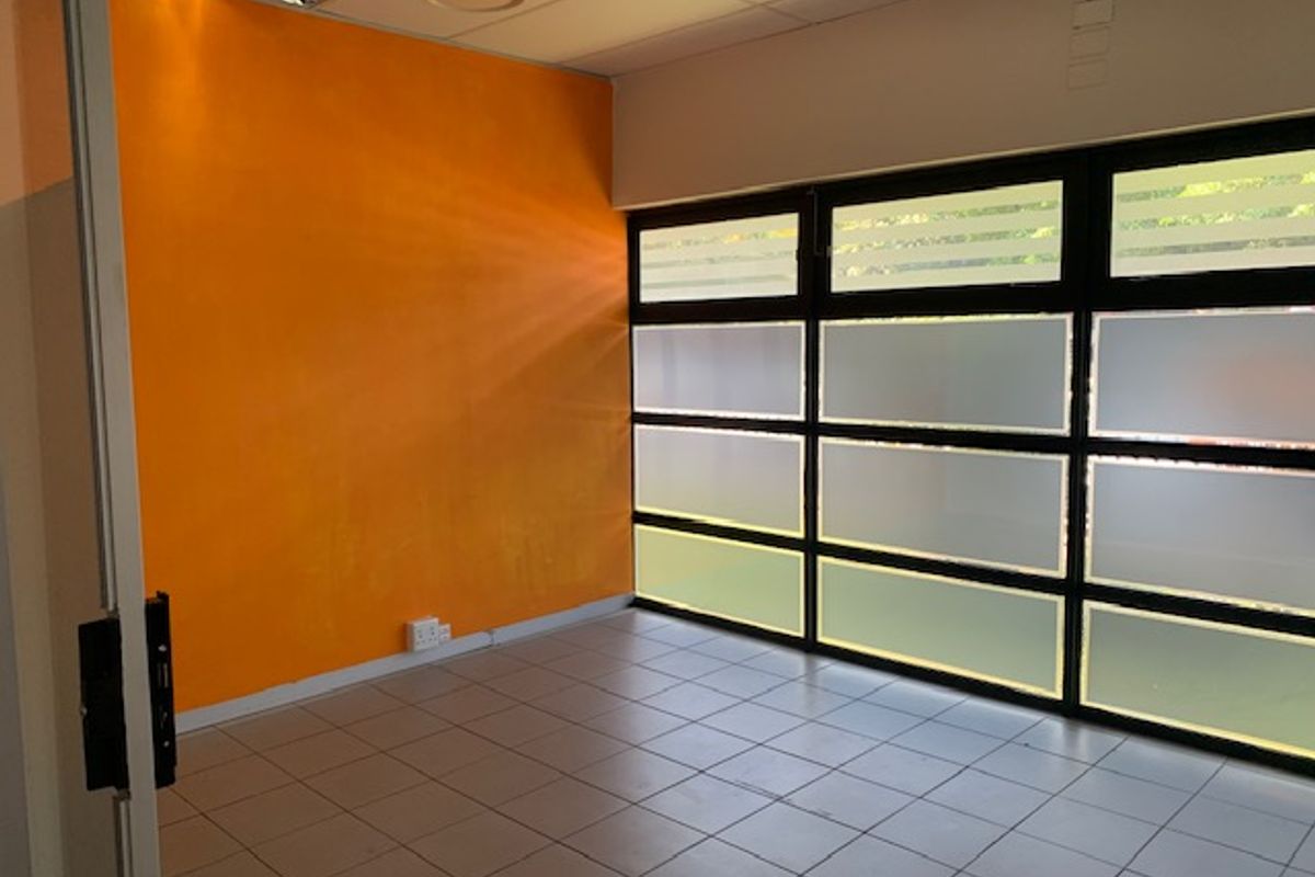 A vacant office space featuring tiled flooring, a suspended ceiling with recessed lighting, and large windows with privacy frosting.