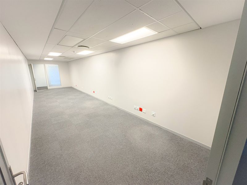 A clean, empty office space featuring a suspended ceiling with recessed lighting and neutral grey carpeting, ready for professional fit-out.