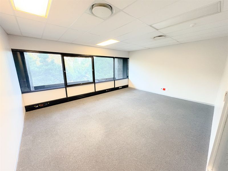 A bright, empty office space featuring neutral carpeting, a suspended ceiling with recessed lighting, and large windows providing natural light.