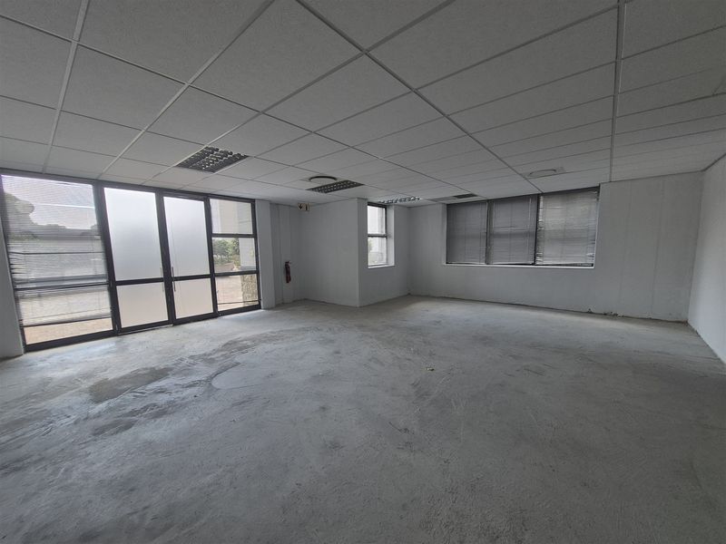 An empty, open-plan office space featuring a suspended ceiling, recessed lighting, and large aluminium-framed windows with blinds.