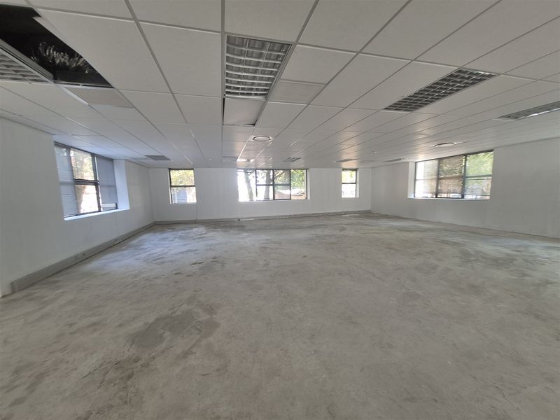 An expansive, empty office space featuring a suspended ceiling with recessed lighting, large windows for natural light, and unfinished concrete flooring.