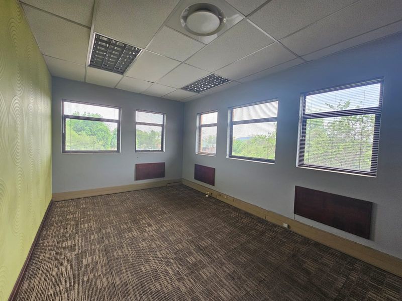 A vacant office space featuring a suspended ceiling, recessed lighting, carpeted flooring, and multiple windows with fitted venetian blinds.