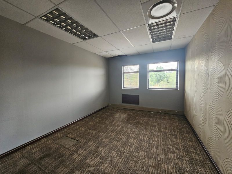 Empty office space featuring suspended ceilings, recessed lighting, textured feature wall, and carpeted flooring in need of maintenance.