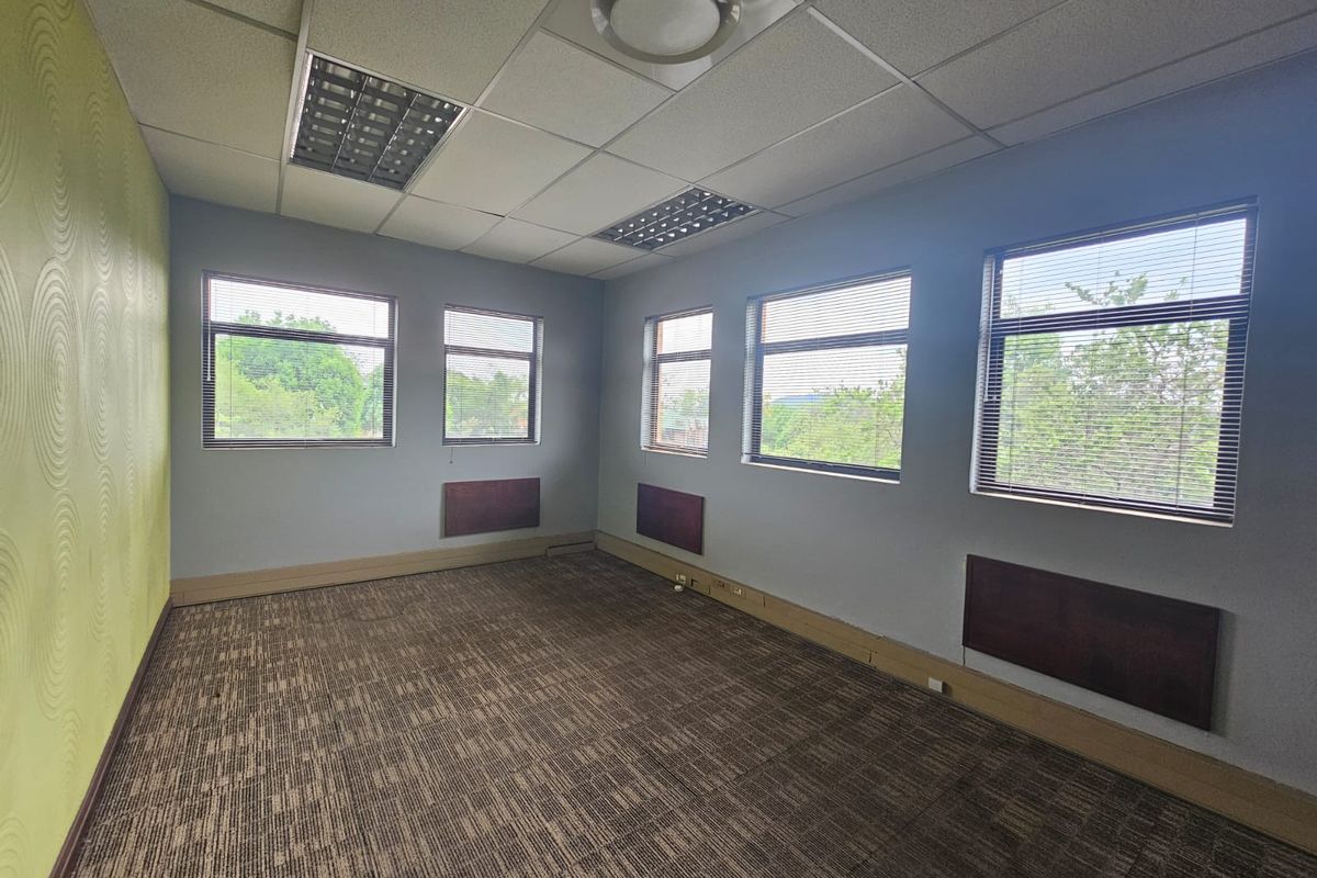 A vacant office space featuring a suspended ceiling, recessed lighting, carpeted flooring, and multiple windows with fitted venetian blinds.