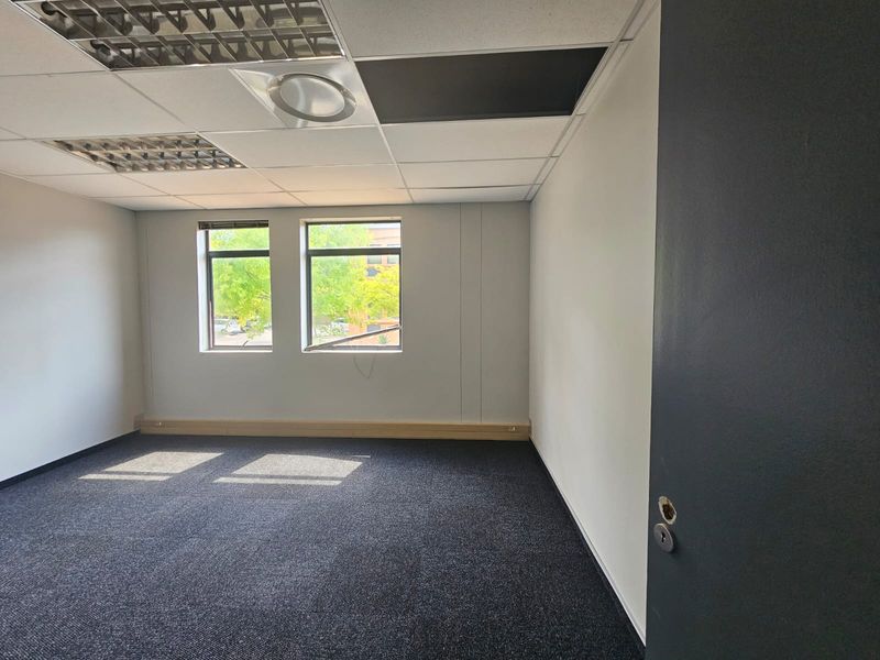 An empty office space featuring a suspended ceiling, carpeted flooring, and natural light from two windows.