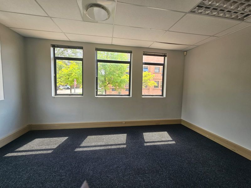 A vacant office space featuring dark carpeting, suspended ceiling tiles, and large windows providing natural light and street views.