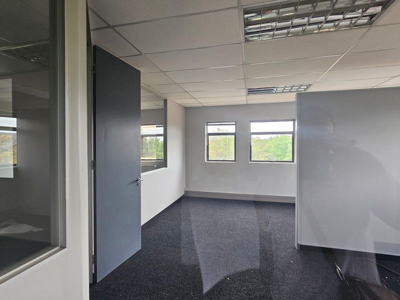 A vacant office space featuring a suspended ceiling, recessed lighting, carpeted flooring, and glass partition walls, offering a clean and functional workspace.
