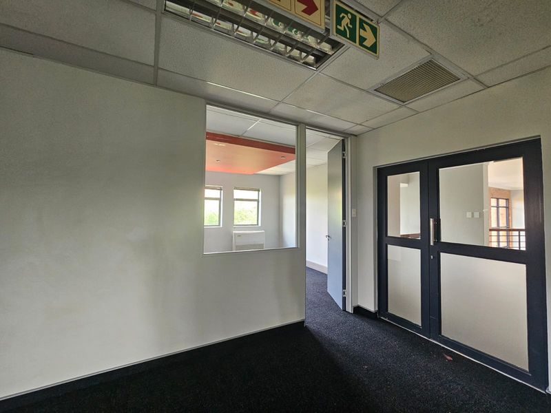 An empty office space featuring a suspended ceiling, carpeted flooring, and glass partitioning, providing a clean and functional layout for business operations.