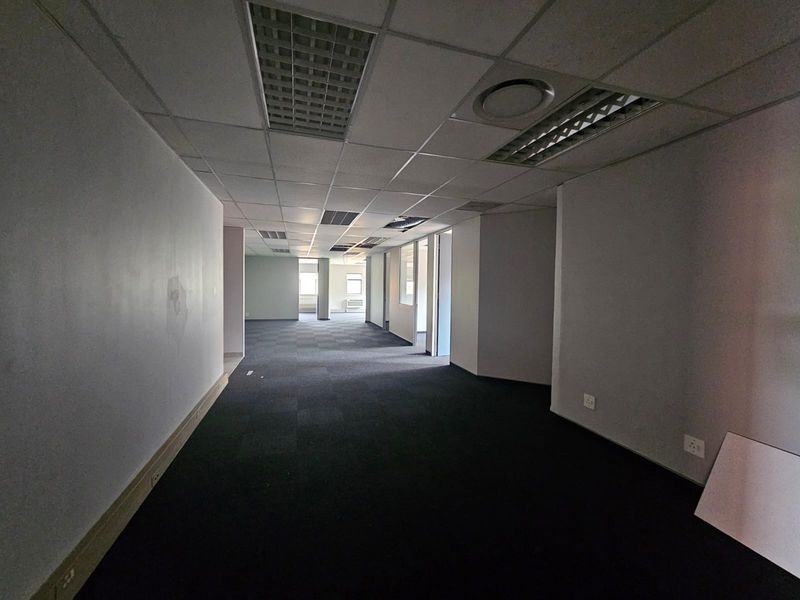 An empty, open-plan office space featuring a suspended ceiling, recessed lighting, and dark carpeting, suitable for a customizable commercial workspace.
