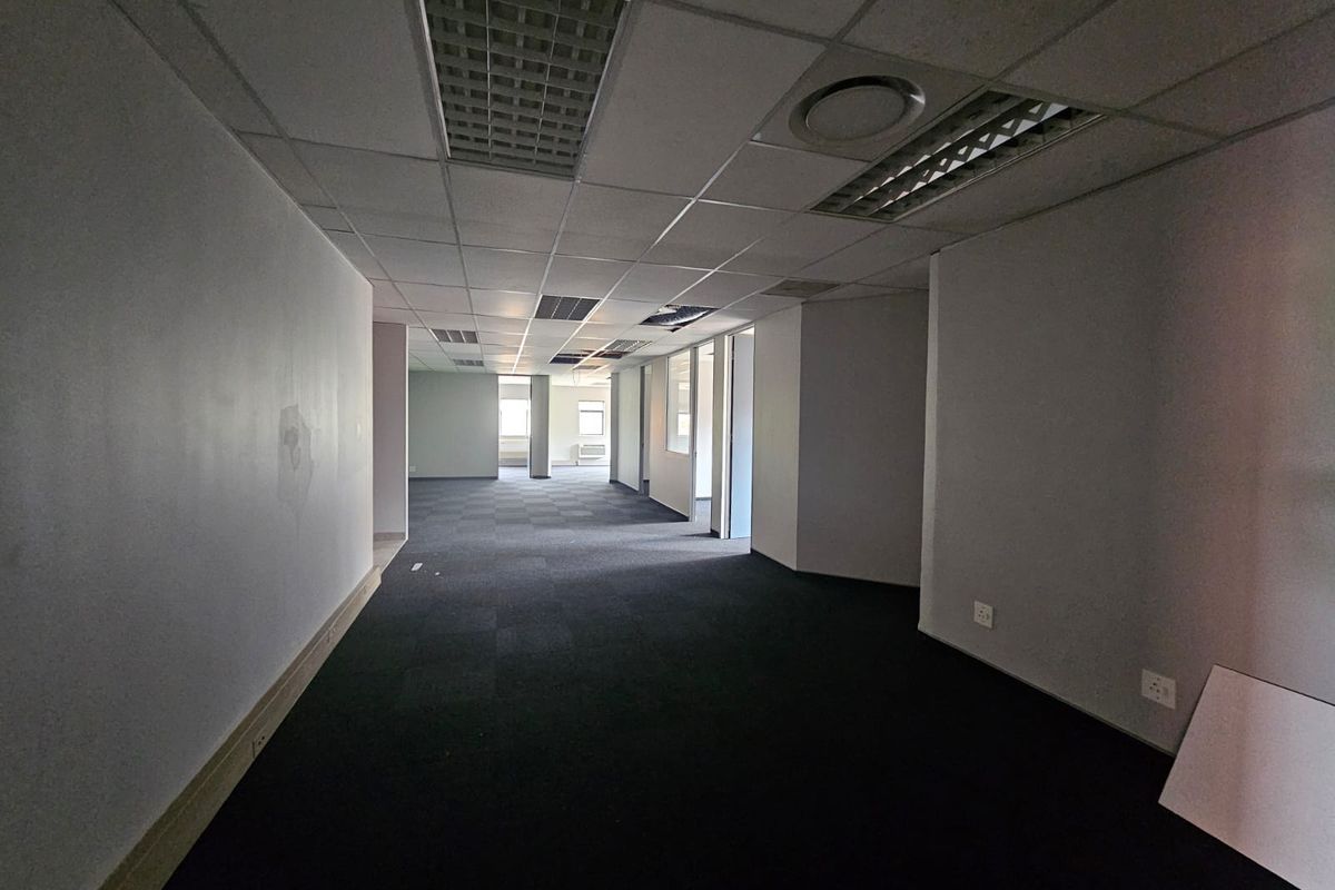 An empty, open-plan office space featuring a suspended ceiling, recessed lighting, and dark carpeting, suitable for a customizable commercial workspace.