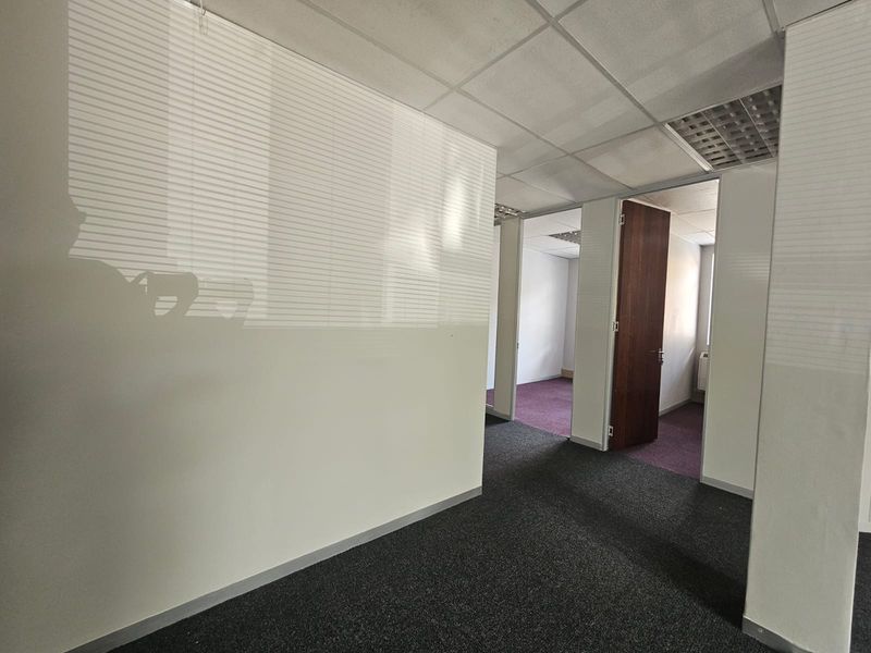 A vacant office hallway featuring carpeted flooring, suspended ceilings with recessed lighting, and multiple internal doorways leading to separate office spaces.