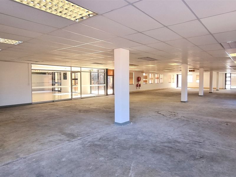 A large, open-plan office space featuring a suspended ceiling, recessed lighting, structural columns, and expansive windows, currently in a vacant, shell-like condition.