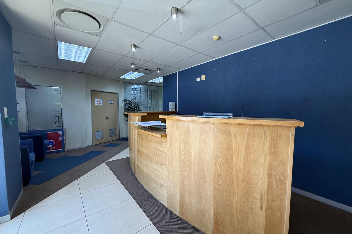 Professional office reception area featuring a built-in wooden reception desk, suspended acoustic ceiling tiles, and integrated recessed lighting.