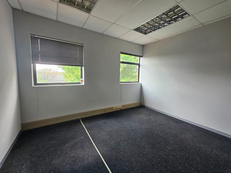 An empty office space featuring a suspended ceiling, recessed lighting, carpeted flooring, and large windows with venetian blinds.