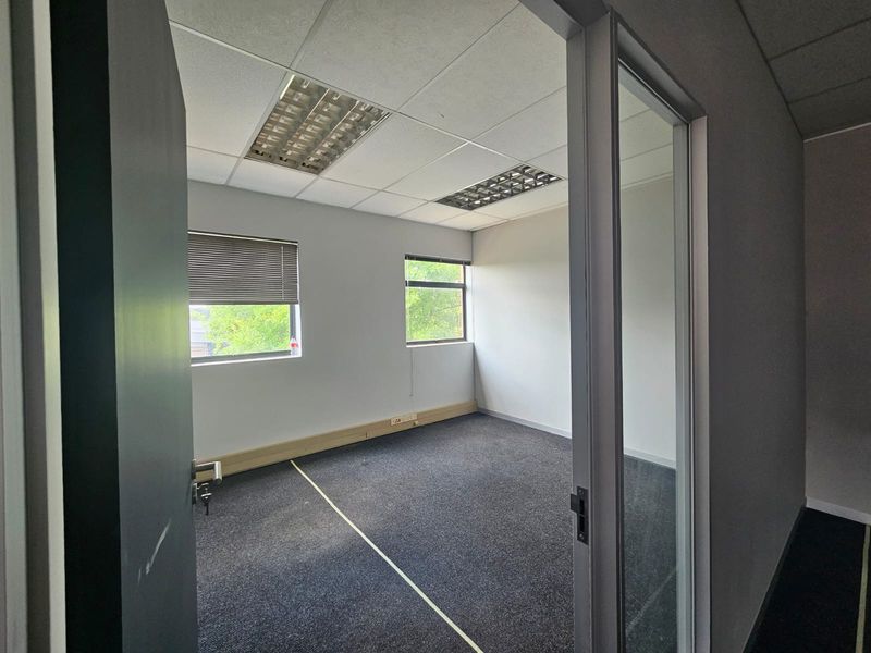 A vacant office space featuring a suspended ceiling with recessed lighting, carpeted flooring, and large windows with fitted blinds.