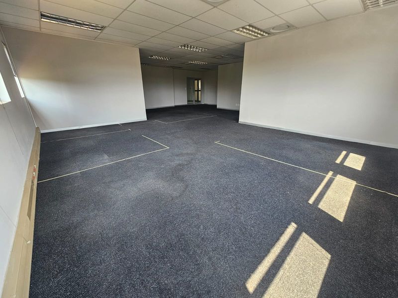 Spacious, empty open-plan office area featuring suspended ceilings, recessed lighting, and carpeted flooring, suitable for a flexible workspace layout.